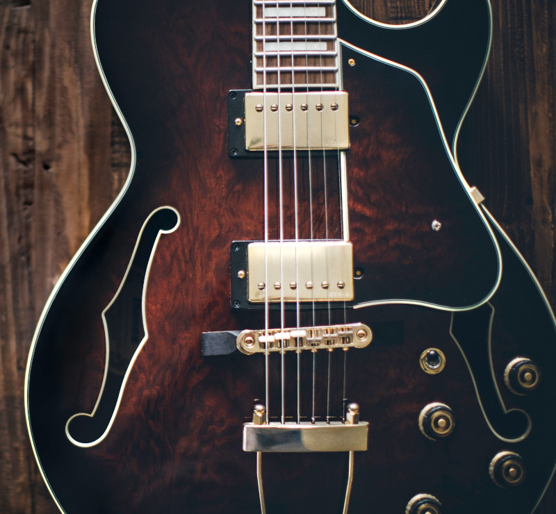 The Best Hollow Body Guitars Under 500 Dollars Guitar Glissando