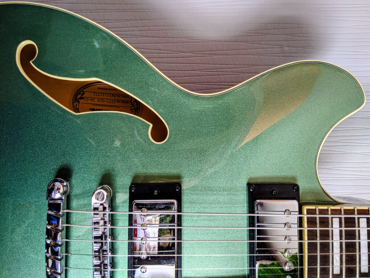 The Best Beginner Semi-Hollow Body Guitar