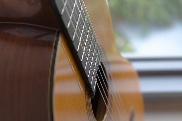 how to buy an acoustic guitar for beginners: Classical Guitar