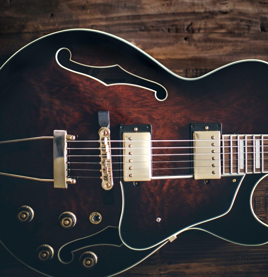 Best Ibanez Artcore Guitar for Beginners Guitar Glissando